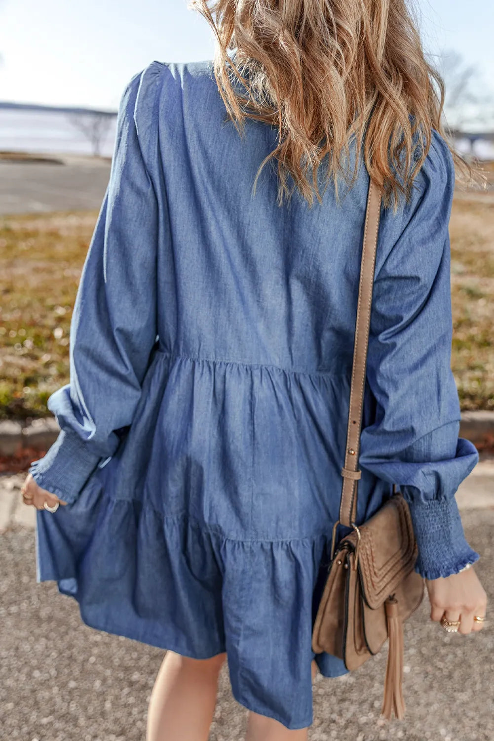 Tiered Johnny Collar Long Sleeve Denim Dress - Luxe4Everyday Medium / S Dress